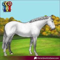 Horse Color:Gray Smoky Black Sabino Tobiano Near Fewspot Rabicano 