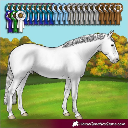 Horse Color:Gray Black Pearl Sabino Rabicano 