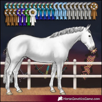 Horse Color:Gray Black Pearl Sabino Rabicano 