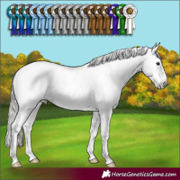 Horse Color:Gray Black Pearl Sabino Rabicano