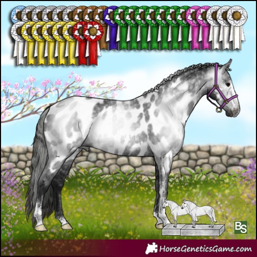 Horse Color:Gray Black Sabino Appaloosa Rabicano 