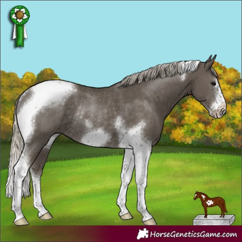Horse Color:Silver Smoky Black Tobiano Frame Rabicano 