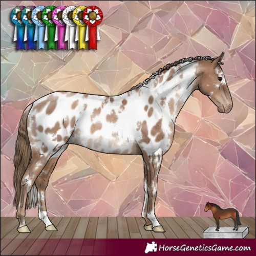 Horse Color:White Spotted Black Pearl Near Leopard Rabicano 
