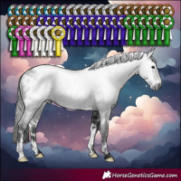 Horse Color:Gray White Spotted Brown Blanket Rabicano 