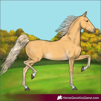 Horse Color:Palomino 