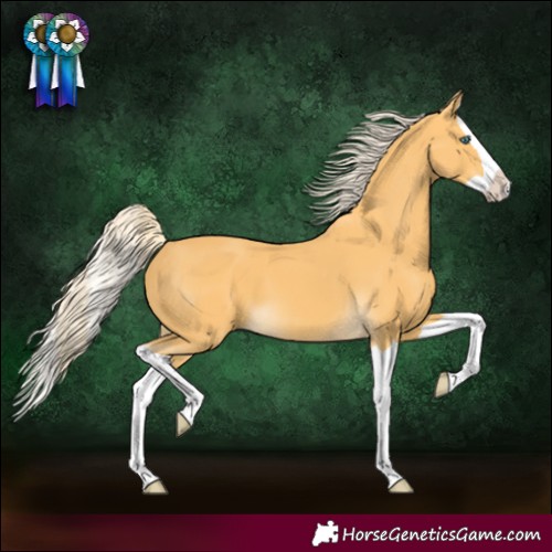 Horse Color:Palomino Splash 