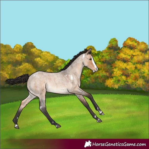 Horse Color:White Spotted Brown Roan Dun Splash Rabicano