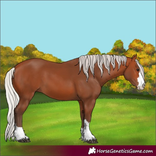 Horse Color:Silver Bay