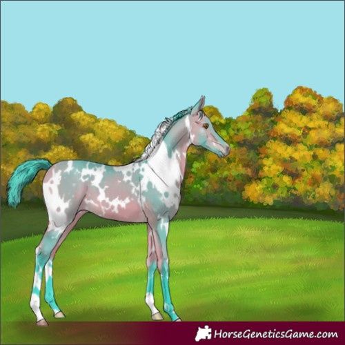 Horse Color:Unknown 
