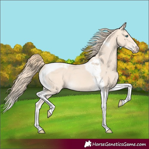 Horse Color:Perlino Tobiano 