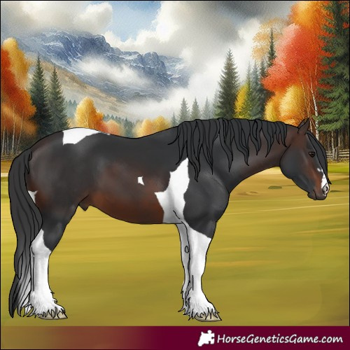 Horse Color:Brown Tobiano 
