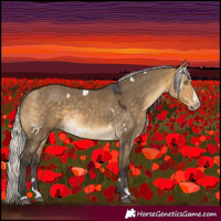 Horse Color:White Spotted Silver Buckskin Dun Splash Rabicano