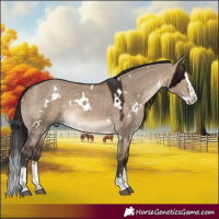 Horse Color:White Spotted Brown Dun Splash Rabicano 