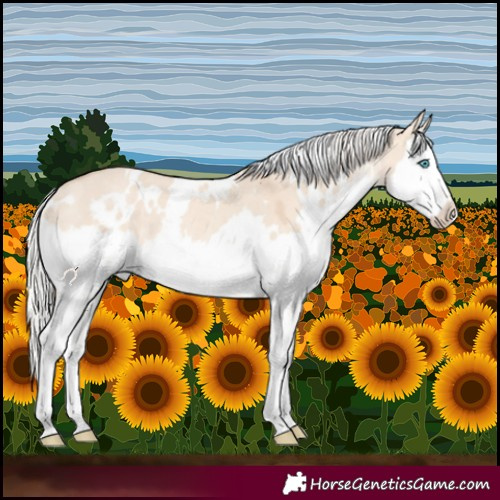 Horse Color:White Spotted Silver Perlino Dun Splash Rabicano 