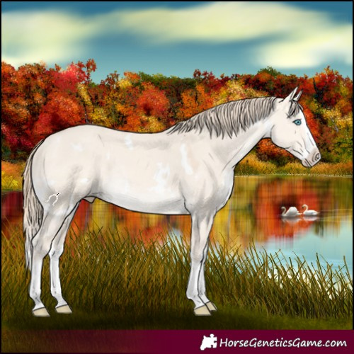 Horse Color:White Spotted Perlino Dun Splash Rabicano 