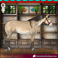Horse Color:White Spotted Buckskin Dun Splash Rabicano 