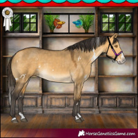 Horse Color:White Spotted Buckskin Dun Splash Rabicano