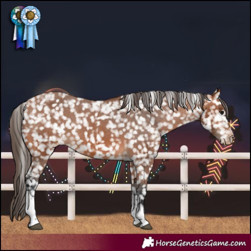 Horse Color:Bay Tobiano Snowflake Varnish