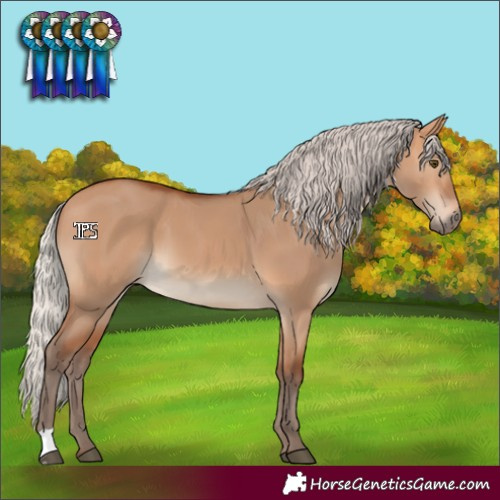 Horse Color:Silver Bay Dun 