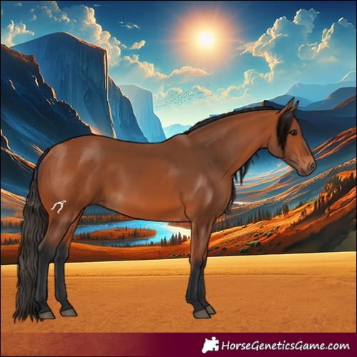 Horse Color:Bay 