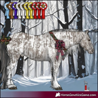 Horse Color:Grullo Tobiano Rabicano  and White Spotted Grullo Tobiano Appaloosa Rabicano 