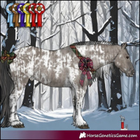 Horse Color:Grullo Tobiano Rabicano  and White Spotted Grullo Tobiano Appaloosa Rabicano 