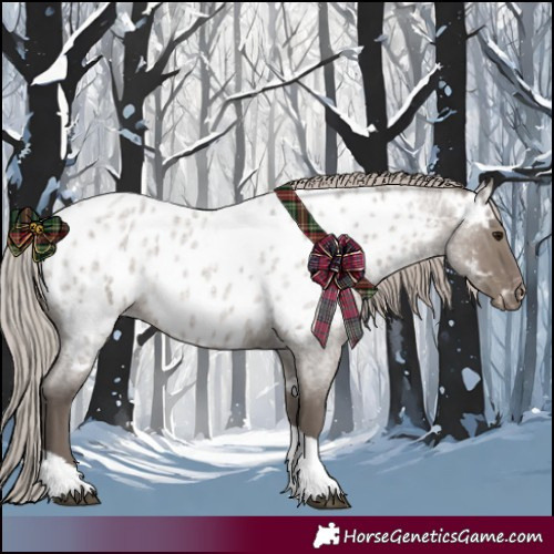 Horse Color:Silver Grullo Roan Tobiano Near Leopard 