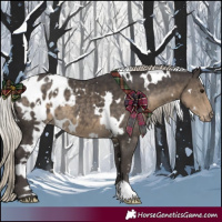 Horse Color:White Spotted Silver Smoky Black Appaloosa 