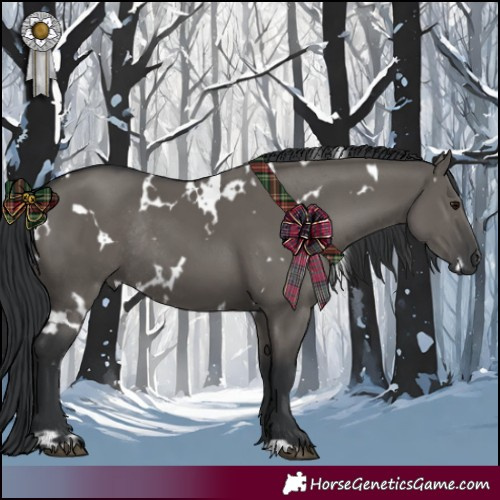 Horse Color:White Spotted Grullo Rabicano 