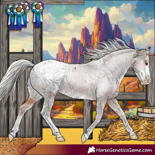 Horse Color:Silver Brown Sabino Appaloosa 