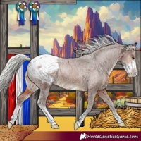 Horse Color:Silver Brown Sabino Appaloosa 