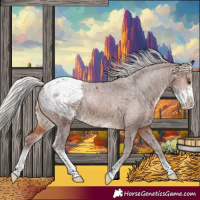 Horse Color:Silver Brown Sabino Appaloosa