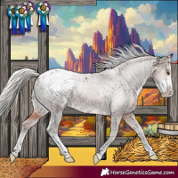Horse Color:Silver Brown Sabino Appaloosa 