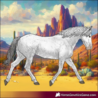 Horse Color:Black Sabino Appaloosa Rabicano 