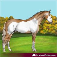 Horse Color:Gray Palomino Frame 