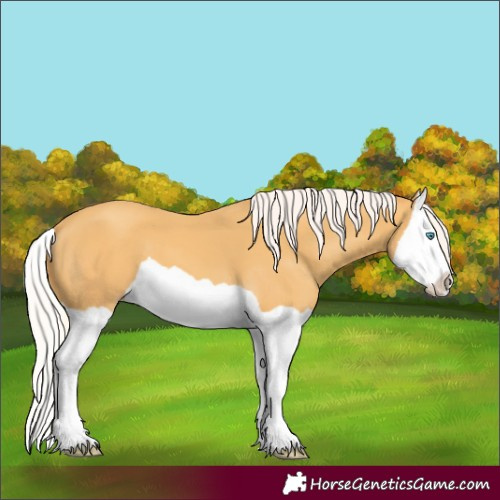 Horse Color:Silver Classic Cream Champagne Splash 