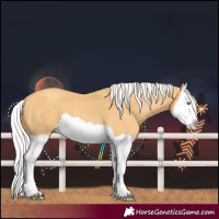 Horse Color:Silver Classic Cream Champagne Splash 