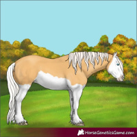 Horse Color:Silver Classic Cream Champagne Splash 