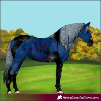 Horse Color:ERROR: UNKNOWN ANOMALY