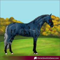 Horse Color:ERROR: UNKNOWN ANOMALY