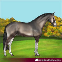 Horse Color:Blue Onyx 