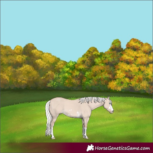 Horse Color:Silver Perlino Dun 