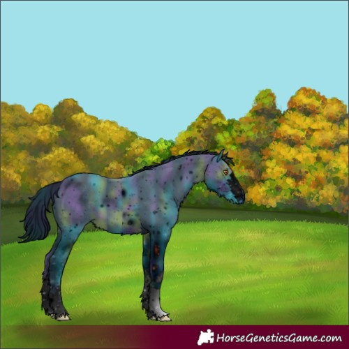 Horse Color:ERROR: UNKNOWN ANOMALY