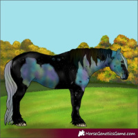 Horse Color:ERROR: UNKNOWN ANOMALY