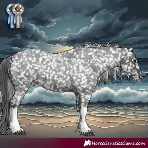 Horse Color:Blue Roan Tobiano Snowflake Varnish 