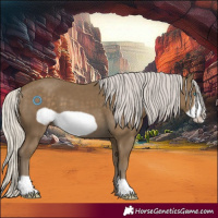 Horse Color:Silver Smoky Black Frame 