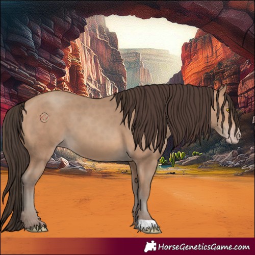 Horse Color:Sable Champagne 