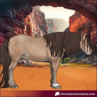 Horse Color:Sable Champagne