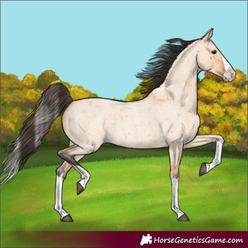 Horse Color:Bay Roan Dun Splash 