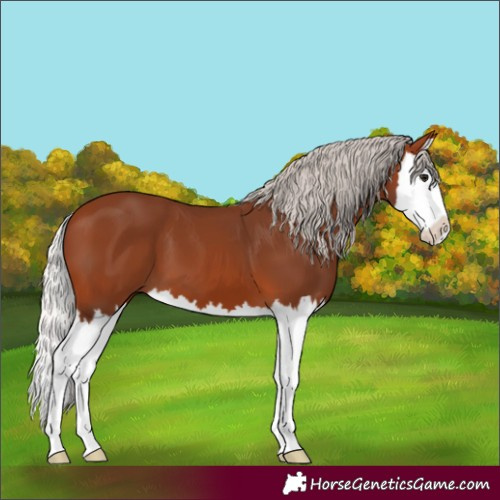 Horse Color:Silver Brown Splash 